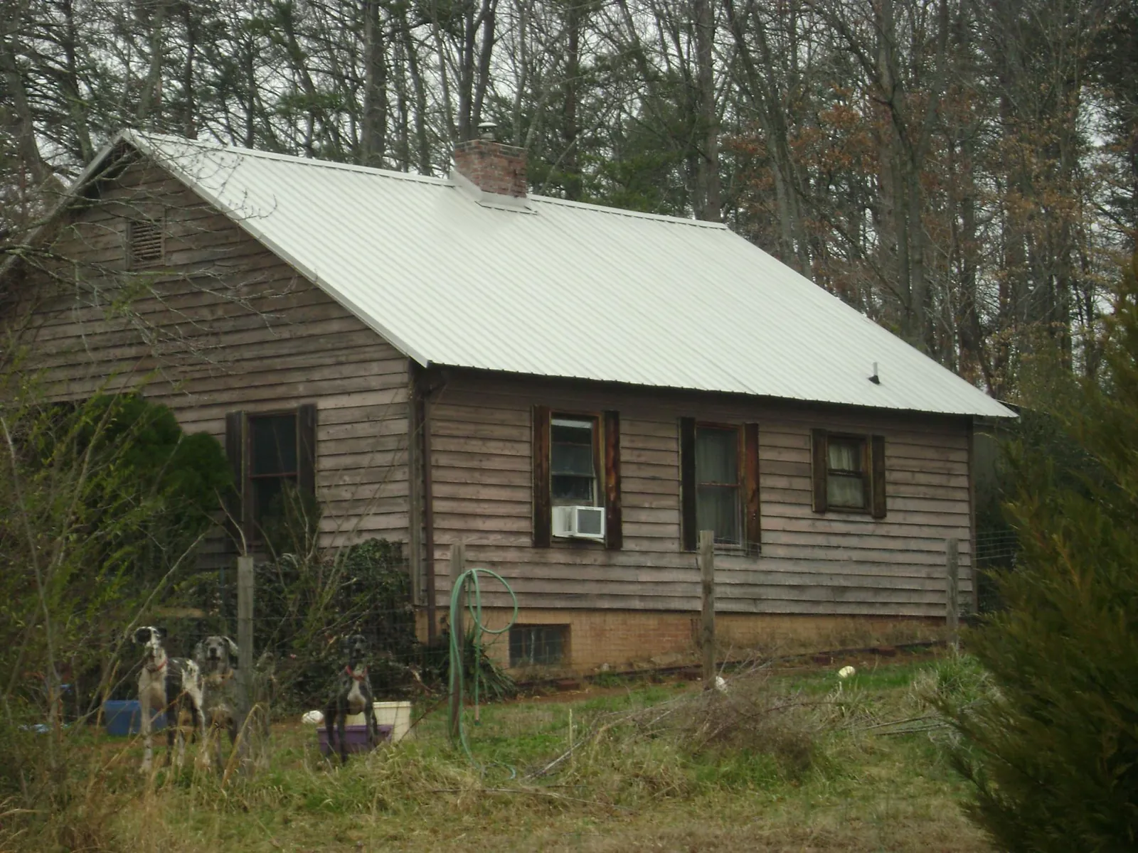 White metal roof on an old wood sided farmhouse, from a Asphalt Shingle Roof Repair job in Dryden